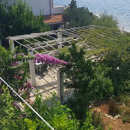 Pansion Galija *